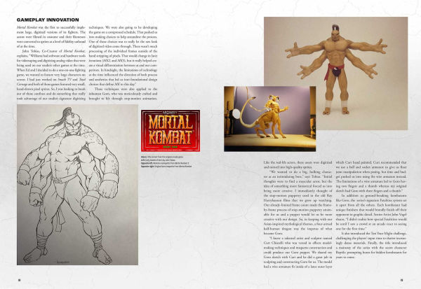 Mortal Kombat: Flawless Victory: A Visual History of the Iconic Series