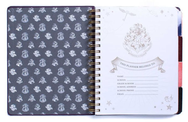 Harry Potter: Hogwarts Teacher's 12-Month Undated Planner: (Harry Potter School Planner School, Harry Potter Gift, Harry Potter Stationery, Undated Planner, Teacher Planner)