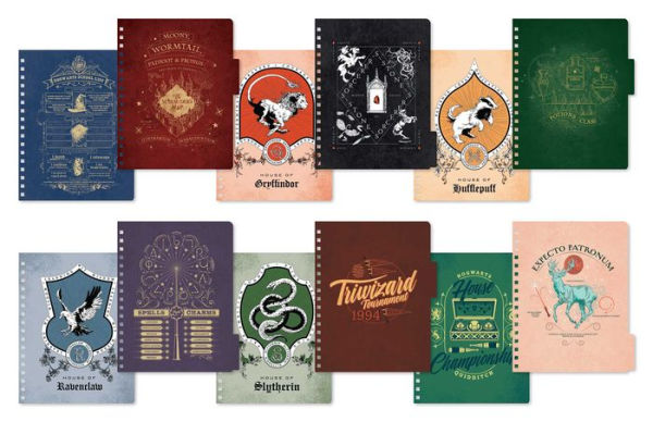 Harry Potter: Hogwarts Teacher's 12-Month Undated Planner: (Harry Potter School Planner School, Harry Potter Gift, Harry Potter Stationery, Undated Planner, Teacher Planner)