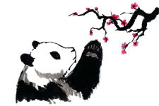 Alternative view 3 of Big Panda and Tiny Dragon Boxed Card Set (Set of 20)