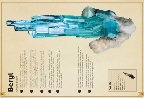 The Magnificent Book of Rocks and Minerals