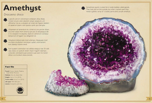 The Magnificent Book of Rocks and Minerals