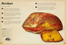 Alternative view 4 of The Magnificent Book of Rocks and Minerals