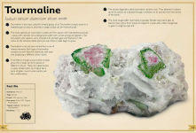 Alternative view 10 of The Magnificent Book of Rocks and Minerals