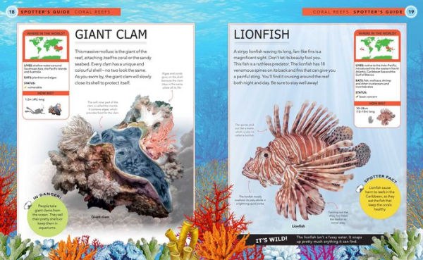 Ocean Creatures: A Spotter's Guide