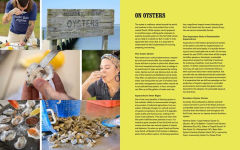 Alternative view 4 of Salt and Shore: Recipes from the Coastal South