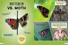 Alternative view 2 of Smithsonian Explores: Bugs and Insects: Discover the Fascinating World of Creepy Crawly Creatures!