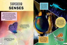 Alternative view 6 of Smithsonian Explores: Bugs and Insects: Discover the Fascinating World of Creepy Crawly Creatures!