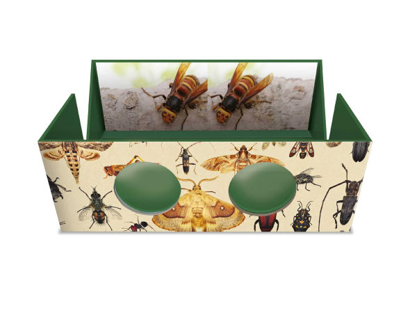 The Magnificent Box of Bugs and Insects