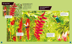 Alternative view 2 of Eye View: Jungle Animals