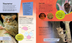 Alternative view 4 of Eye View: Jungle Animals