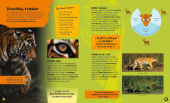 Alternative view 5 of Eye View: Jungle Animals
