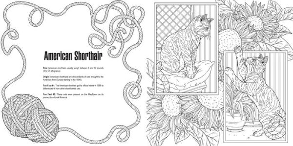 Cats: A Smithsonian Coloring Book