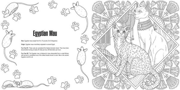 Cats: A Smithsonian Coloring Book