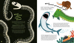 Alternative view 4 of There Are No Silly Questions: More than 200 Weird and Wacky Questions, Expertly Answered!