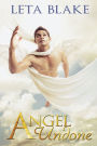 Angel Undone