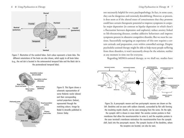 Psychedelics and Mental Health: Neuroscience and the Power of Psychoactives in Therapy