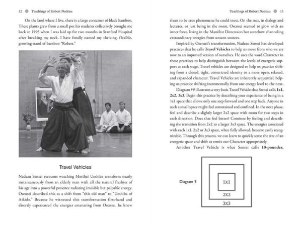 Aikido: The Art of Transformation: The Life and Teachings of Robert Nadeau