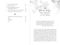Alternative view 8 of Surrealism and Operative Alchemy: The Secret Language at the Origins of the Surrealist Movement