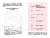 Alternative view 7 of Chakra Dreamwork: Decode and Heal Your Energy Field through Conscious Dreaming