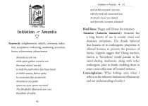 Alternative view 11 of The Runes and Roots Oracle: A 36-Card Deck and Guidebook