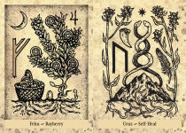Alternative view 12 of The Runes and Roots Oracle: A 36-Card Deck and Guidebook
