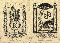 Alternative view 15 of The Runes and Roots Oracle: A 36-Card Deck and Guidebook