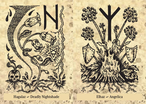 The Runes and Roots Oracle: A 36-Card Deck and Guidebook