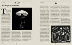 Alternative view 11 of Plant Power: Heal Yourself with Medicinal Mushrooms, Roots, Flowers, and Herbs