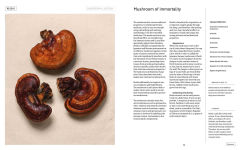 Alternative view 13 of Plant Power: Heal Yourself with Medicinal Mushrooms, Roots, Flowers, and Herbs