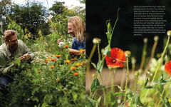 Alternative view 2 of Plant Power: Heal Yourself with Medicinal Mushrooms, Roots, Flowers, and Herbs