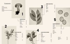 Alternative view 3 of Plant Power: Heal Yourself with Medicinal Mushrooms, Roots, Flowers, and Herbs