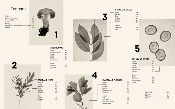Plant Power: Heal Yourself with Medicinal Mushrooms, Roots, Flowers, and Herbs