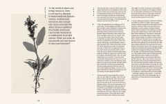 Alternative view 4 of Plant Power: Heal Yourself with Medicinal Mushrooms, Roots, Flowers, and Herbs