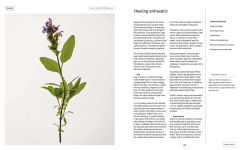 Alternative view 8 of Plant Power: Heal Yourself with Medicinal Mushrooms, Roots, Flowers, and Herbs
