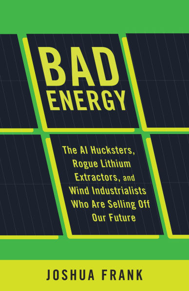 Bad Energy: The AI Hucksters, Rogue Lithium Extractors, and Wind Industrialists Who are Selling Off Our Future