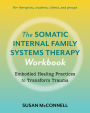 The Somatic Internal Family Systems Therapy Workbook: Embodied Healing Practices to Transform Trauma--For therapists, students, clients, and groups
