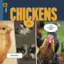 Chickens