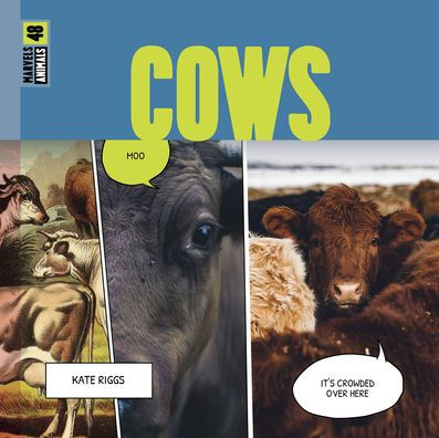 Cows