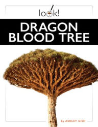 Title: Dragon Blood Tree, Author: Ashley Gish