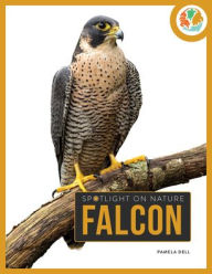 Title: Falcon, Author: Pamela Dell