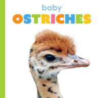 Title: Baby Ostriches, Author: Kim Thompson