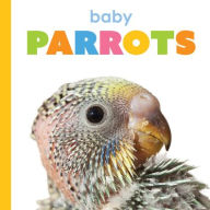 Title: Baby Parrots, Author: Kim Thompson