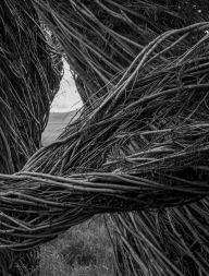 Title: Patrick Dougherty James Florio: Sticks, Author: Patrick  Dougherty