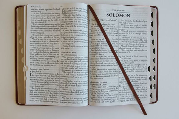 KJV Holy Bible, Giant Print Thinline Large format, Brown Premium Imitation Leath er with Ribbon Marker, Red Letter, and Thumb Index