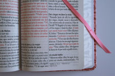 Alternative view 9 of Biblia RVR 1960 Letra gigante, símil piel rosada con flores (Edición cantos pintados / Spanish Bible RVR 1960 Giant Print Handy Size Leathersoft Pink floral