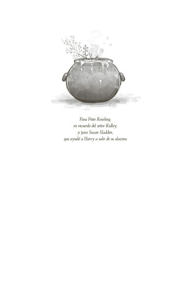 Harry Potter y el cáliz de fuego (Edición con ilustraciones de Xavier Bonet) / Harry Potter and the Goblet of Fire