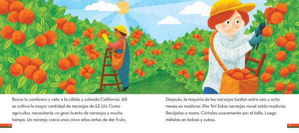 Del arbol a la ensalada de frutas