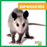 Title: Opossums, Author: Natalie Deniston