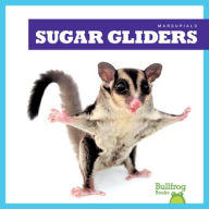 Title: Sugar Gliders, Author: Natalie Deniston
